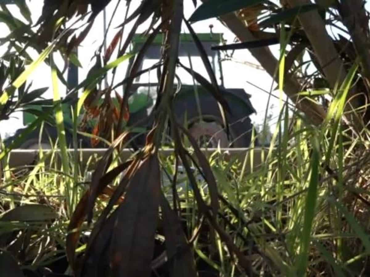 ΟΠΕΚΕΠΕ: Στον εισαγγελέα 50 αγρότες – Ελέγχονται για μαζικές διαγραφές αγροτεμαχίων από το Ε9 τους