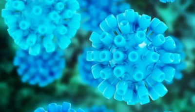 tvneasinagermos-gia-ti-ragdea-afxisi