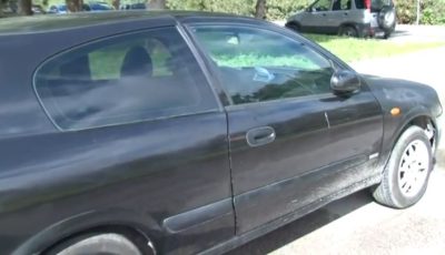 tvneaelefsina-paresire-me-tin-porta